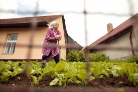 Stařenka se bránila, tak ji prý zavraždili (ilustrační foto).