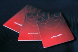 Platba za parkování pomocí Opencard je prodělečná, ukázal audit.