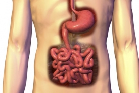 Transplantace tenkého střeva patří k nejsložitějším.