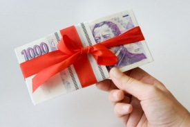 Balíček počítá s úpravou institutu protikorupčního agenta.