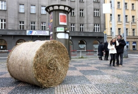 Se sl&aacute;mou lze dělat leccos (ilustračn&iacute; foto).