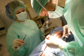 Veterinární správy hradily úkony v jiném rozsahu i cenách.