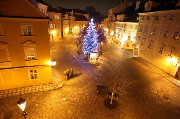 Vánoční strom na pražské Kampě. 