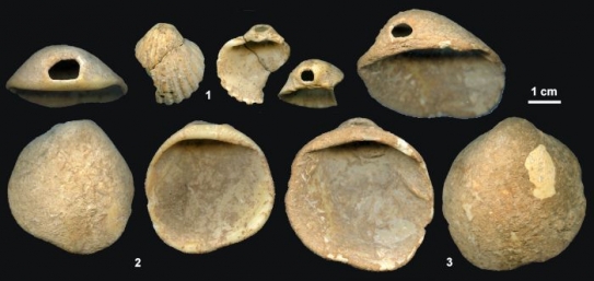 Perforované lastury z neandertálci obývané španělské jeskyně.