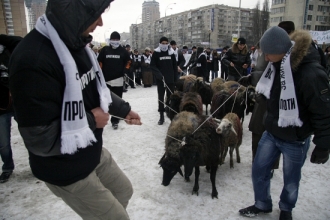 Jeden z kandidátů na prezidenta si pozval na pomoc ovce.