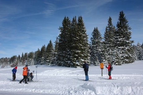 Zasněžená Šumava a běžkaři.