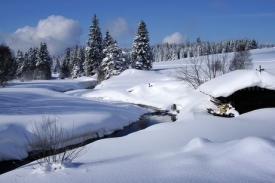 Šumava. Ilustrační foto.
