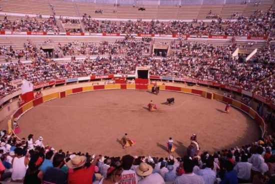 V Plaza Monumental México.