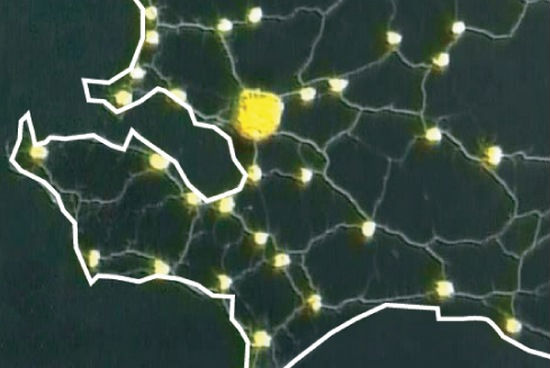 Železniční síť navržená hlenkou je stejně efektivní jako ta lidská. Železniční síť navržená hlenkou je stejně efektivní jako ta lidská.