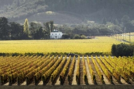 Proslulá vinařská oblast Napa Valley v Kalifornii.