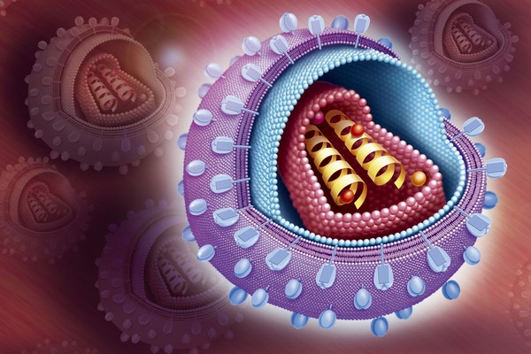 Virus HIV využívá buněčné mechanismy k vlastnímu kopírování.