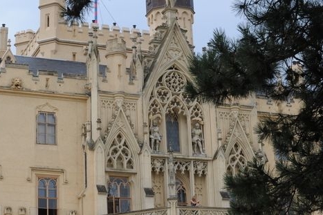 Zámecký park v Lednici tvoří vzácné borovice. 