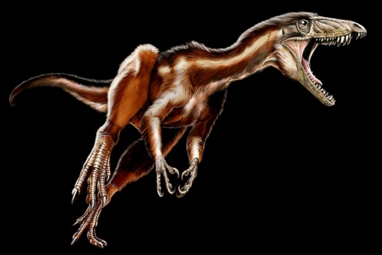 Dinosauři - líná a tupá stvoření? Taková představa už dávno neplatí.