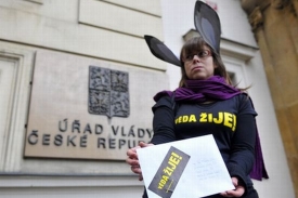 Vědci z Akademie věd loni získali pocit, že je vládní rada má za osly.