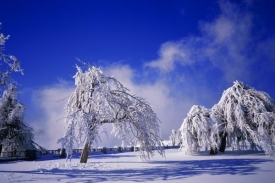 Podle meteorologů bude znovu sněžit, mr&aacute;z potrv&aacute; (ilustračn&iacute; foto).