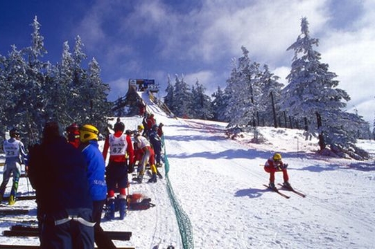 Krkonoše. Ilustrační foto.