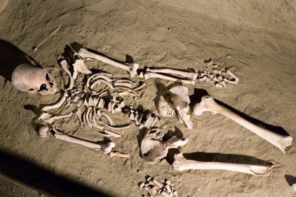 Archeologové v Mikulčicích odkryli už stovky hrobů. Archeologové v Mikulčicích odkryli už stovky hrobů.