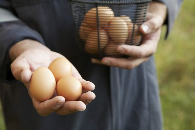 Tržiště mají zlepšit zásobování čerstvým ovocem i zeleninou.