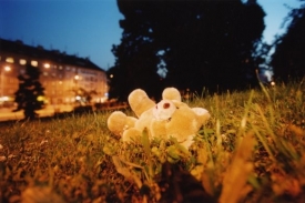 Ply&scaron;ov&eacute; zv&iacute;řata čekaj&iacute; unik&aacute;tn&iacute; z&aacute;jezdy &scaron;it&eacute; na m&iacute;ru.