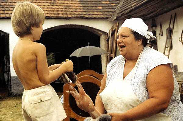 Helena Růžičková v Slunce, seno, jahody. Helena Růžičková v Slunce, seno, jahody.