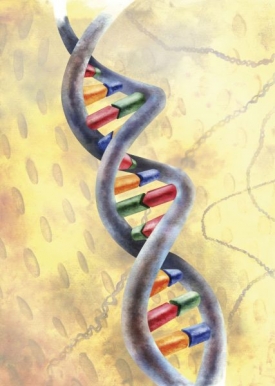 Přečíst tři miliardy písmen lidské DNA začíná být rutinním úkolem.
