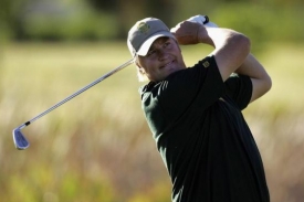 Van der Walt
