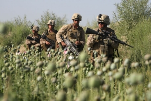 Voj&aacute;ci ISAF pochoduj&iacute; opiov&yacute;m polem v Afgh&aacute;nist&aacute;nu.