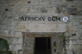 Do Afrického domu se každý těšil na rozespalé žirafy.