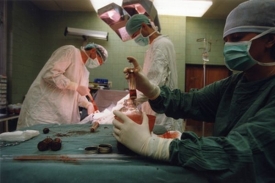Česká transplantační medicína patří k nejlepším na světě.