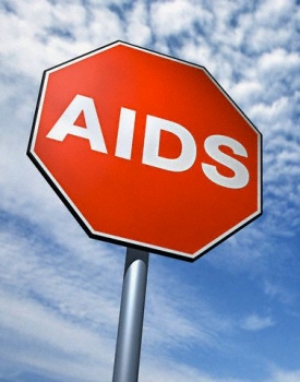 Letošní Nobelovu cenu dostali vědci mimo jiné za izolaci viru nemoci AIDS.