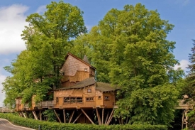 Největší dům na stromě? Britský projekt Alnwick Gardens.