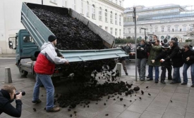 Grínpísáci vysypali před jednacím sálem hnědé uhlí jako protest.