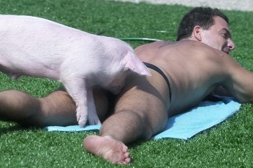 Reality show Big Brother.
