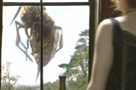 Obř&iacute; vosa v britsk&eacute;m seri&aacute;lu Dr Who. Nepleťte si ji!