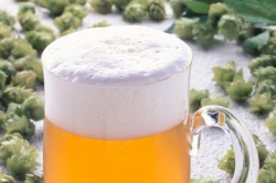 České nealkoholické pivo ochutnají v Indii, Malajsii a Turecku.