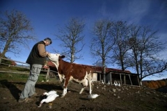 Biofarma Šumava