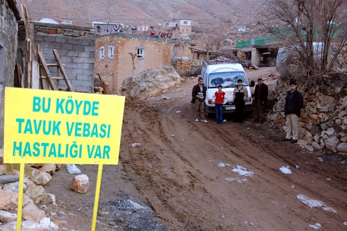 "V této vesnici je ptačí chřipka" stojí na ceduli na příjezdové cestě do vesničky Bogazkoy poblíž města Batman na jihovýchodě Turecka.