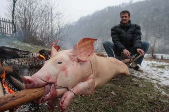 Srbové u Zvorniku pečou selátko k ortodoxním vánočním svátkům.