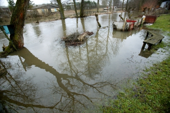 Vyplavená zahrádkářská kolonie na okraji Havlíčkova Brodu.