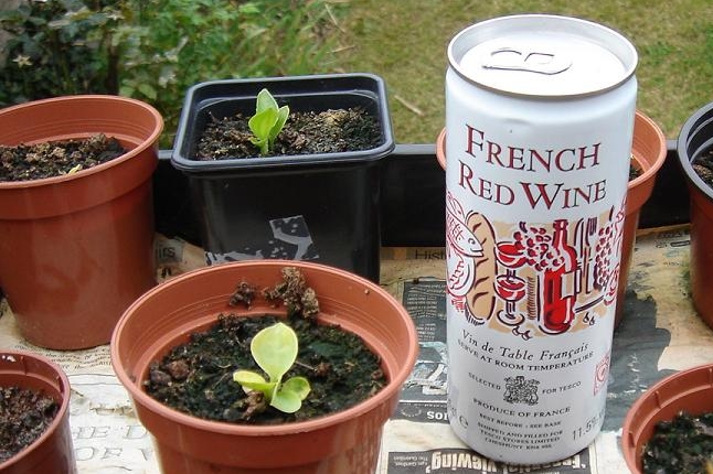 Francouzské víno v plechovce má potěšit hlavně řidiče. Francouzské víno v plechovce má potěšit hlavně řidiče.