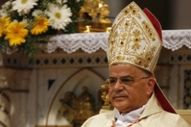 Kardin&aacute;l Jose Saraiva Martins
