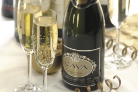 Cava se vyrábí z tria odrůd Xarel-lo, Macabeo a Parellada. Cava se vyrábí z tria odrůd Xarel-lo, Macabeo a Parellada.