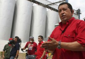 Hugo Ch&aacute;vez na r&yacute;žov&eacute; farmě