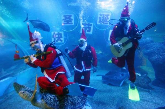 Santaclausovsk&eacute; bl&aacute;zněn&iacute;. Koncert v akv&aacute;rii se želvami na jihu Č&iacute;ny.