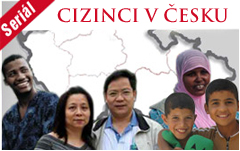 Cizinci v Česku