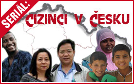 Cizinci v Česku