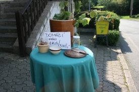 Dom&aacute;c&iacute; kva&scaron;&aacute;ky.