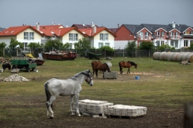 Ilustrační foto