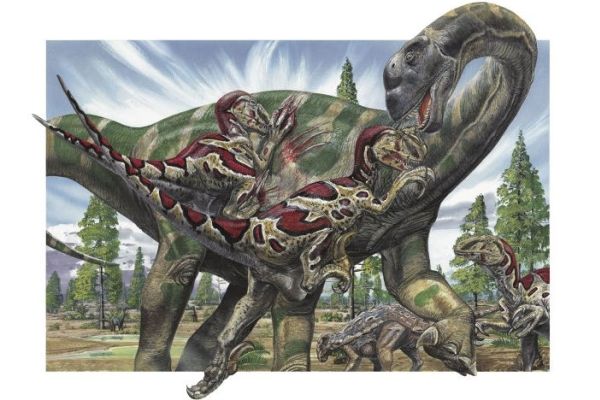Objevili paleontologové stopy dinosaurů, nebo jen erozí vymleté jamky?