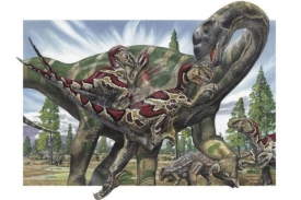 Objevili paleontologové stopy dinosaurů, nebo jen erozí vymleté jamky?